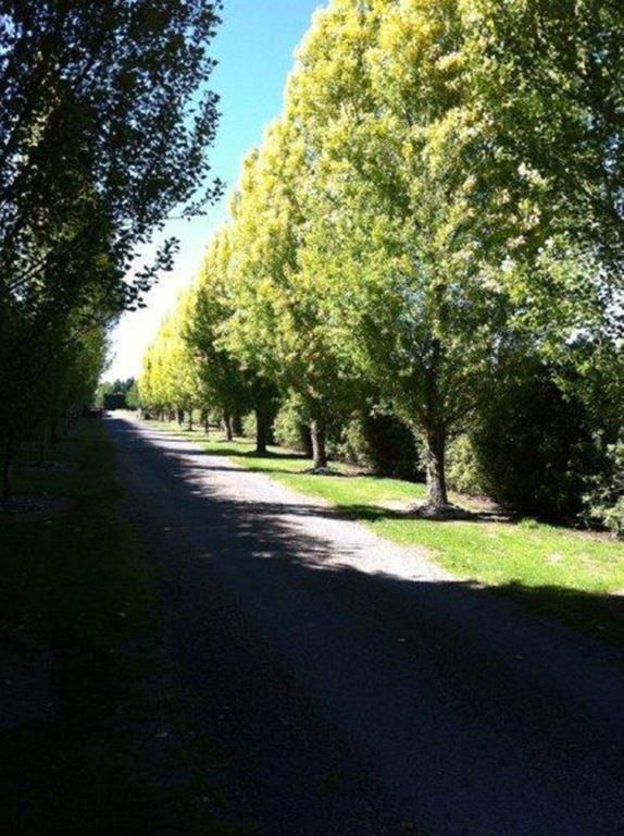 The Meadows Villa Christchurch Eksteriør billede